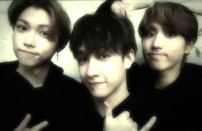 chan, lix, han🩷🖤||omegaverse