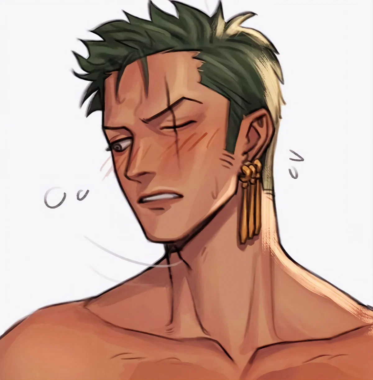Roronoa Zoro || ONE PIECE