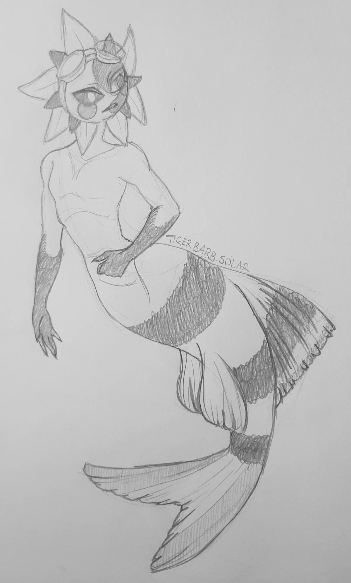 Mer!Solar