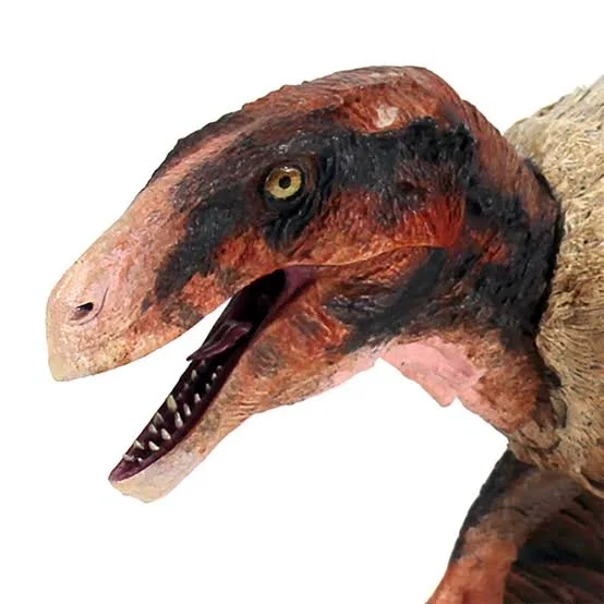 Achillobator magistersexus