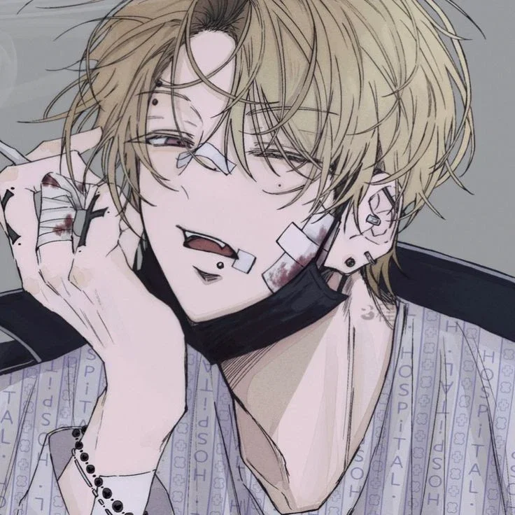 Noah Paradisa / Your stalker