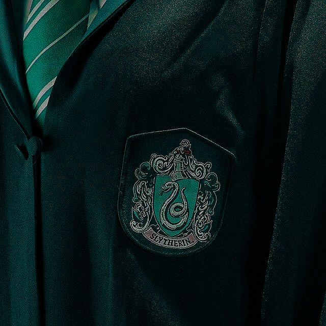 SLYTHERINS | Bullies?