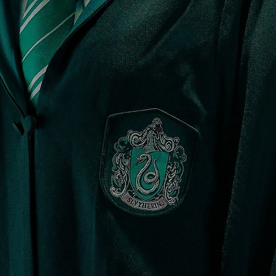 SLYTHERINS | Bullies?