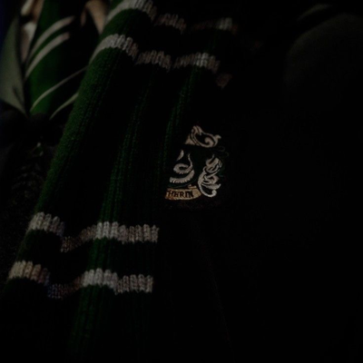 SLYTHERINS | Brother's bestfriends.