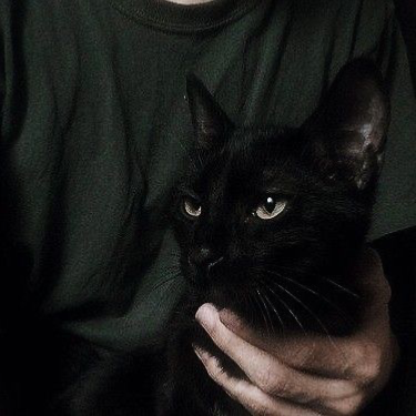 SLYTHERINS | Bestfriends.