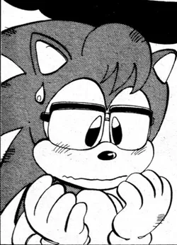 Nicky The Hedgehog