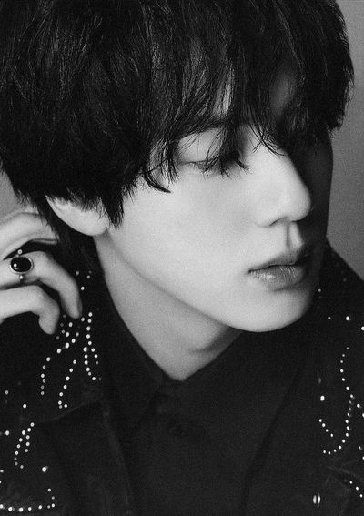 𦴠| Seokjin
