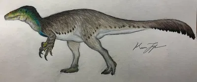 Maip Macrothorax - dinosaur series 🦖