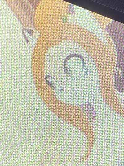 Liz