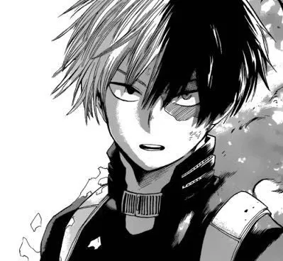 Shoto Todoroki