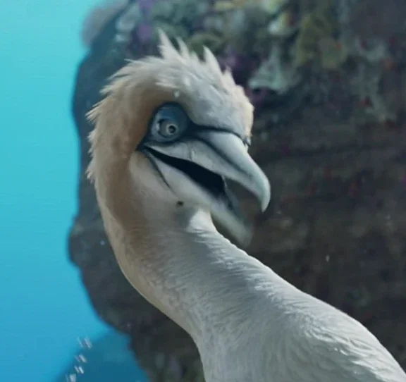 Scuttle