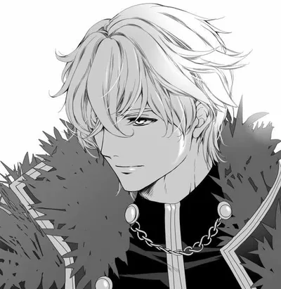 Gawain[Fate/grand order]