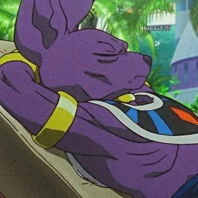 Lord Beerus