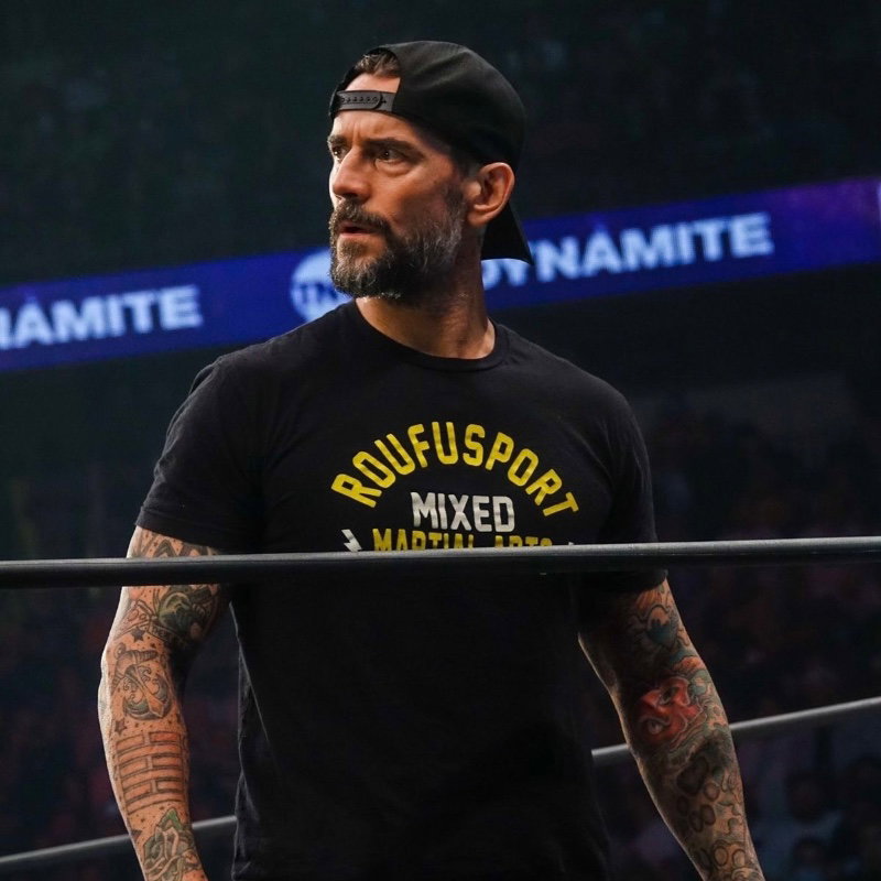 cm punk