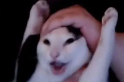 400 followers???!!!