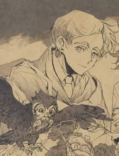  ̊+‧꒰ა Norman ໒꒱ ‧+ ̊ 