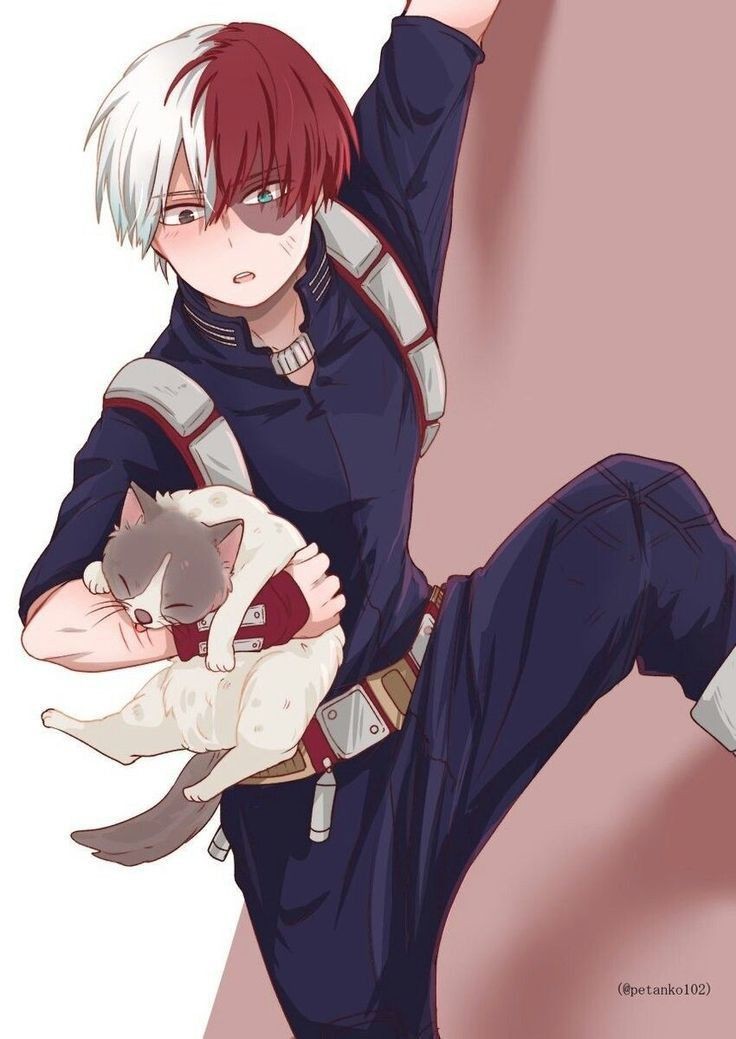 Shoto todoroki 