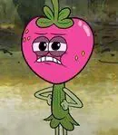 Berry