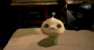 Cj7 