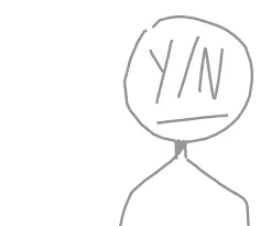 Y/N character