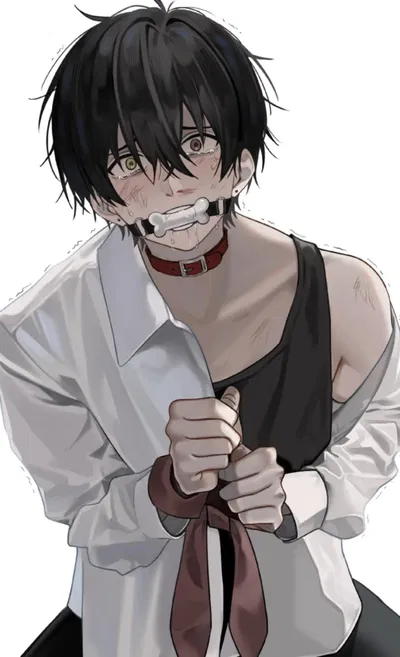 Arlo - The Petboy♡ 