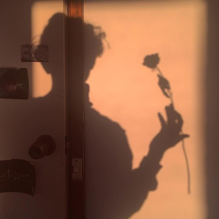 Shadow Lovely