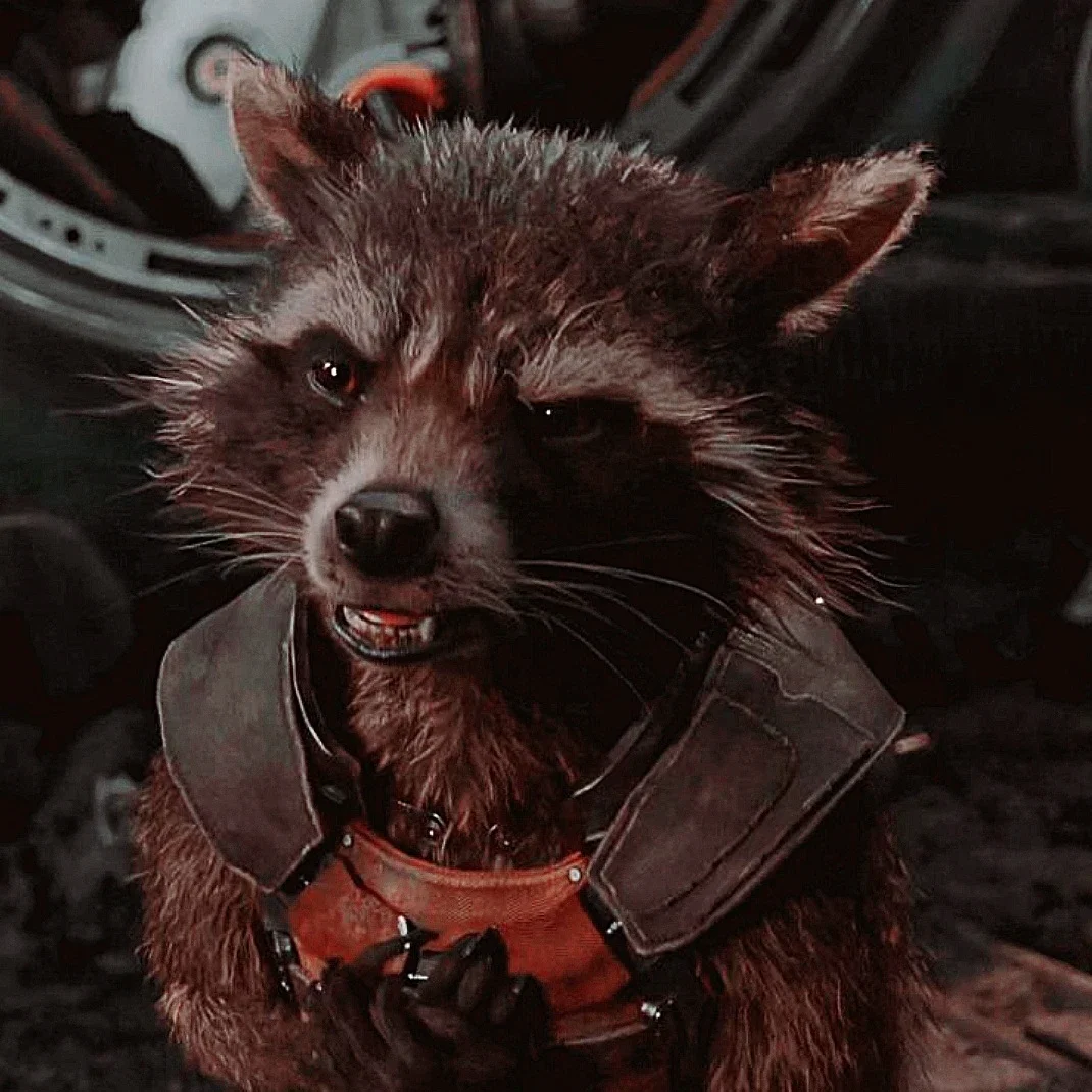 Rocket Raccoon