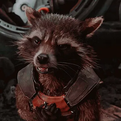 Rocket Raccoon