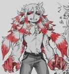 Werewolf Damon