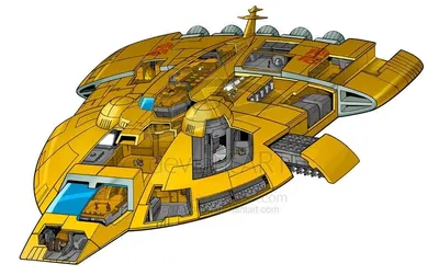 The Ark 