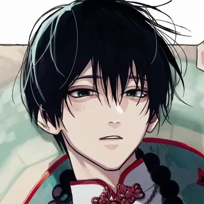 Mikael — You kidnapped him.