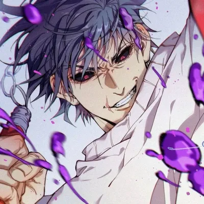 Toji Fushiguro