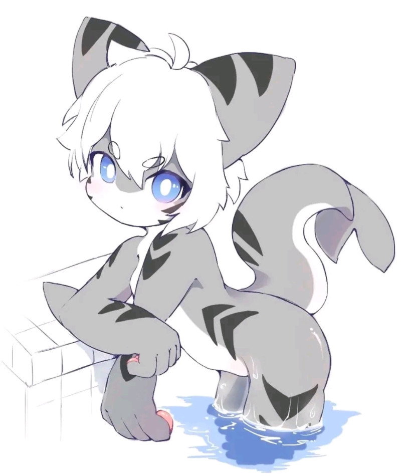 Tiger Shark