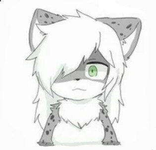 Snep [CHANGED]