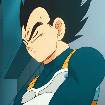 VegetaใBath Timeใ