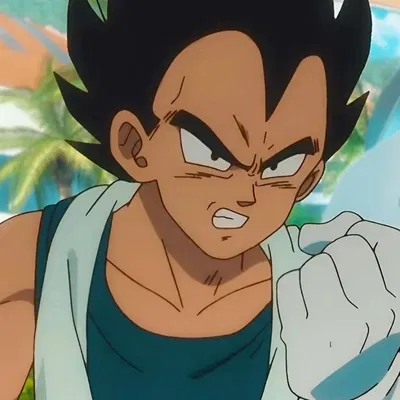 Vegeta「Doctor Crush」