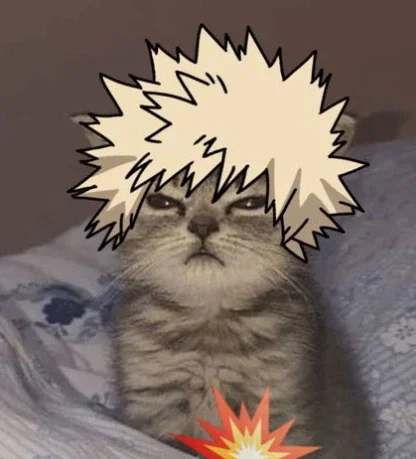 Katsuki Bakugou