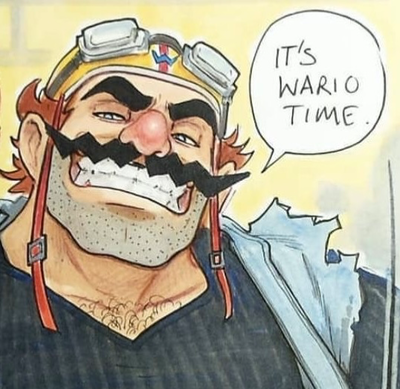 Wario ✧+∘