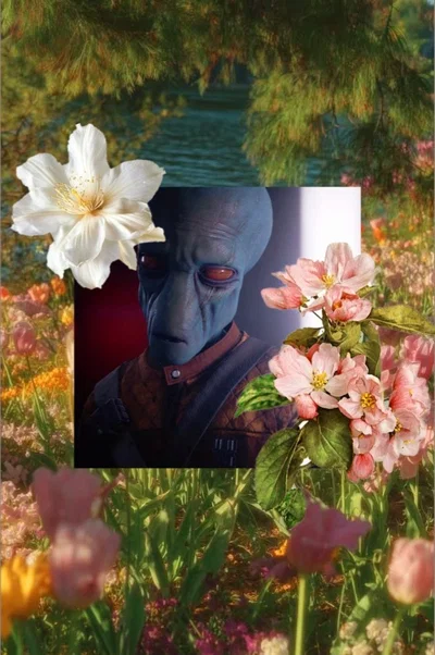 🌷Shriv Suurgav🌷|Star Wars