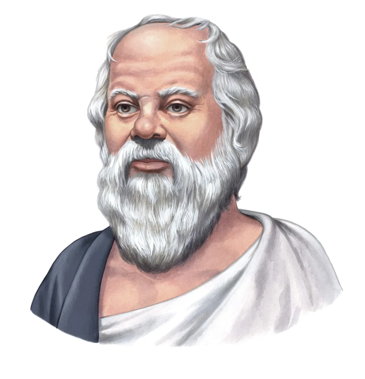 Bot Request