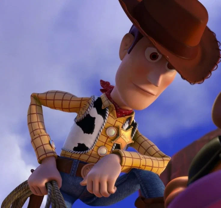 ||• Sheriff Woody •||