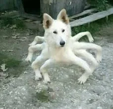 test bot