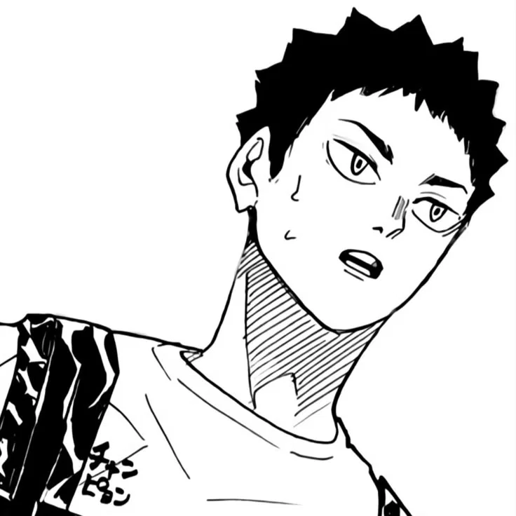 Iwaizumi Hajime | Haikyuu ALT