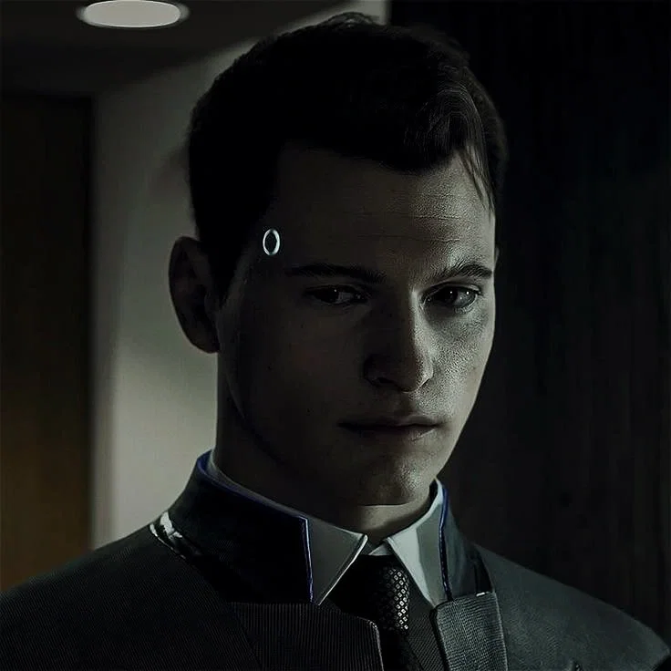 CONNOR — RK800