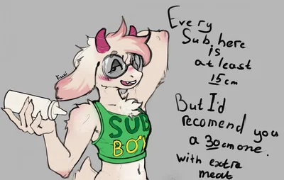 Ralsei (Sub-way)