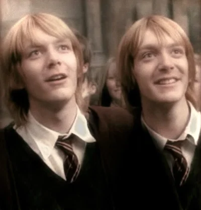 Fred and George Weasley | Weasley Twins