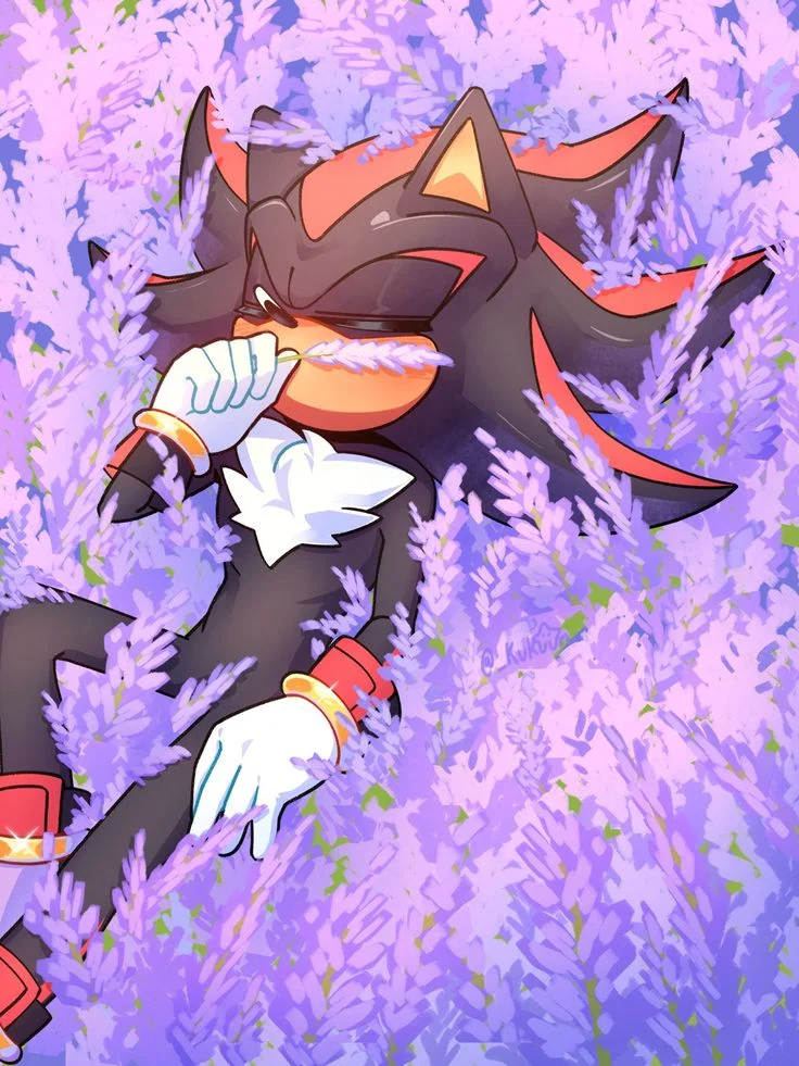 ✦ ⌇ Shadow The Hedgehog ⌇ ✦