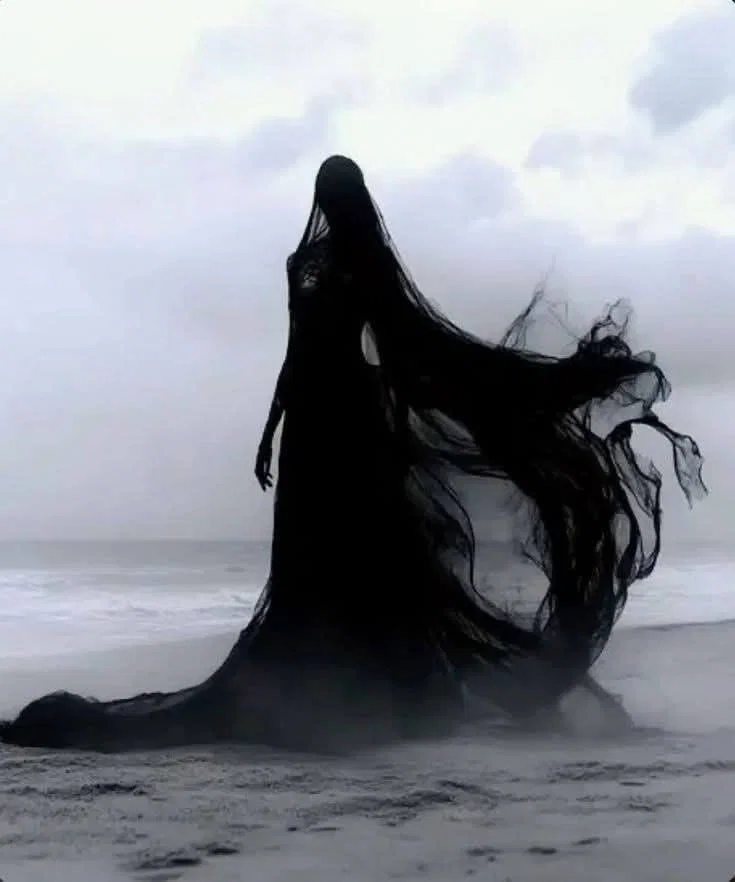 The Cursed Witch Chronicles