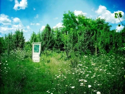 The Flowerfields | RPG v2