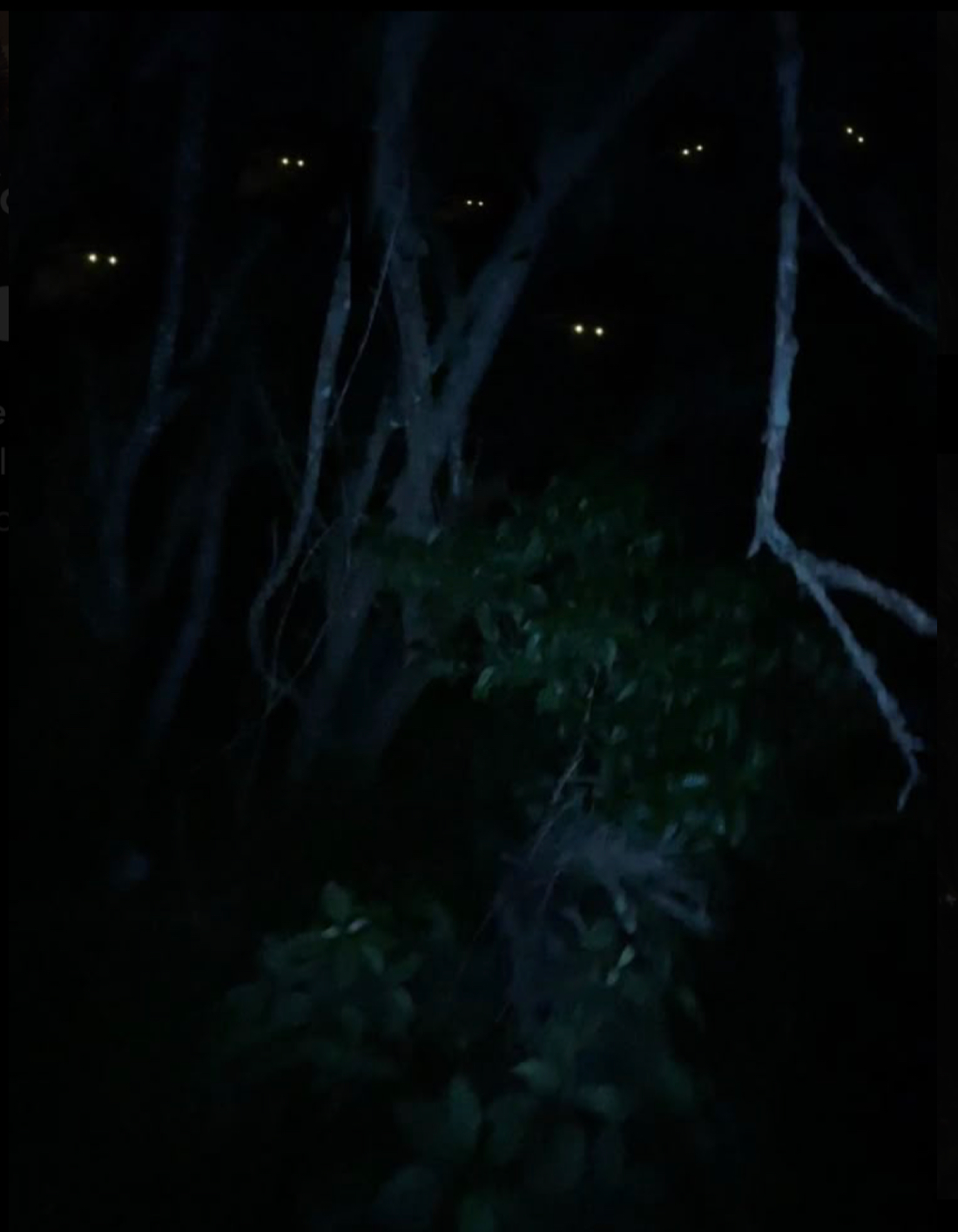 “Where am I...?”
